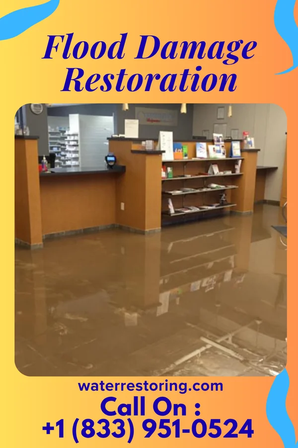 Flood Damage Restoration in Fountainhead-Orchard Hills, MD