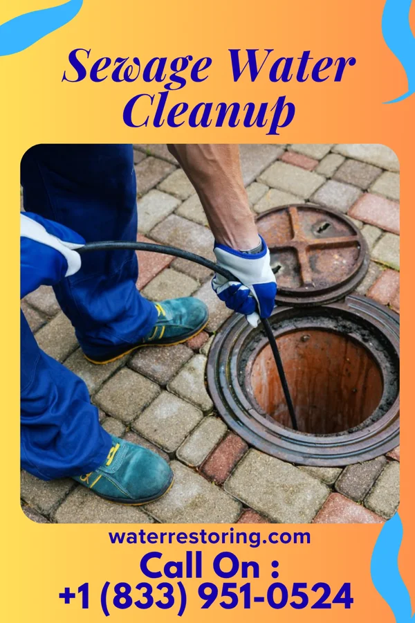 Sewage Water Cleanup in Fountainhead-Orchard Hills, MD