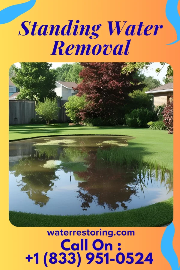 Standing Water Removal in Fountainhead-Orchard Hills, MD